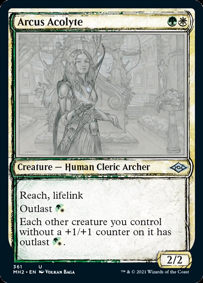 Arcus Acolyte (Sketch) [Modern Horizons 2] | Mindsight Gaming