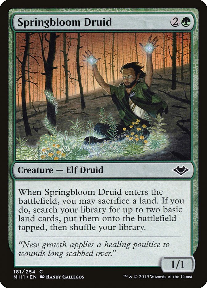 Springbloom Druid [Modern Horizons] | Mindsight Gaming