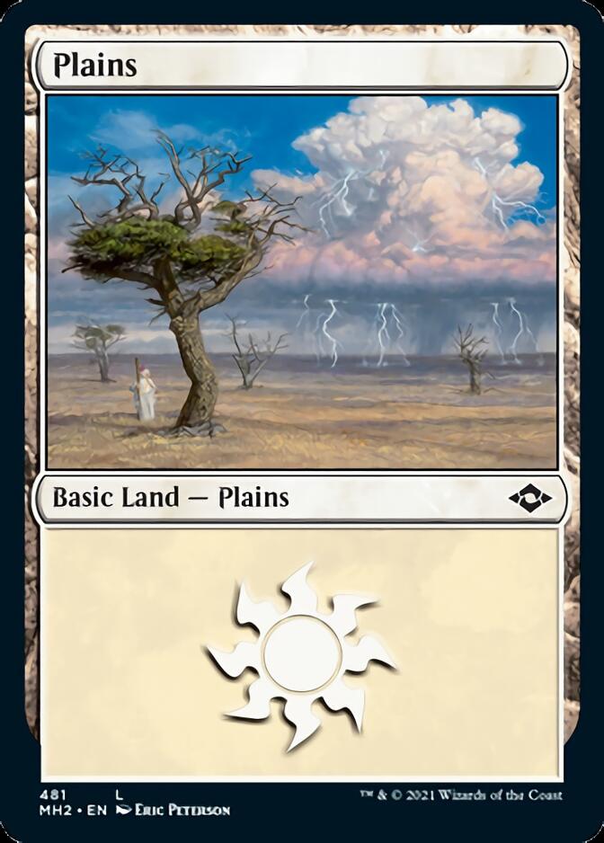 Plains (481) (Foil Etched) [Modern Horizons 2] | Mindsight Gaming