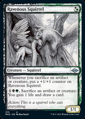 Ravenous Squirrel (Sketch) [Modern Horizons 2] | Mindsight Gaming