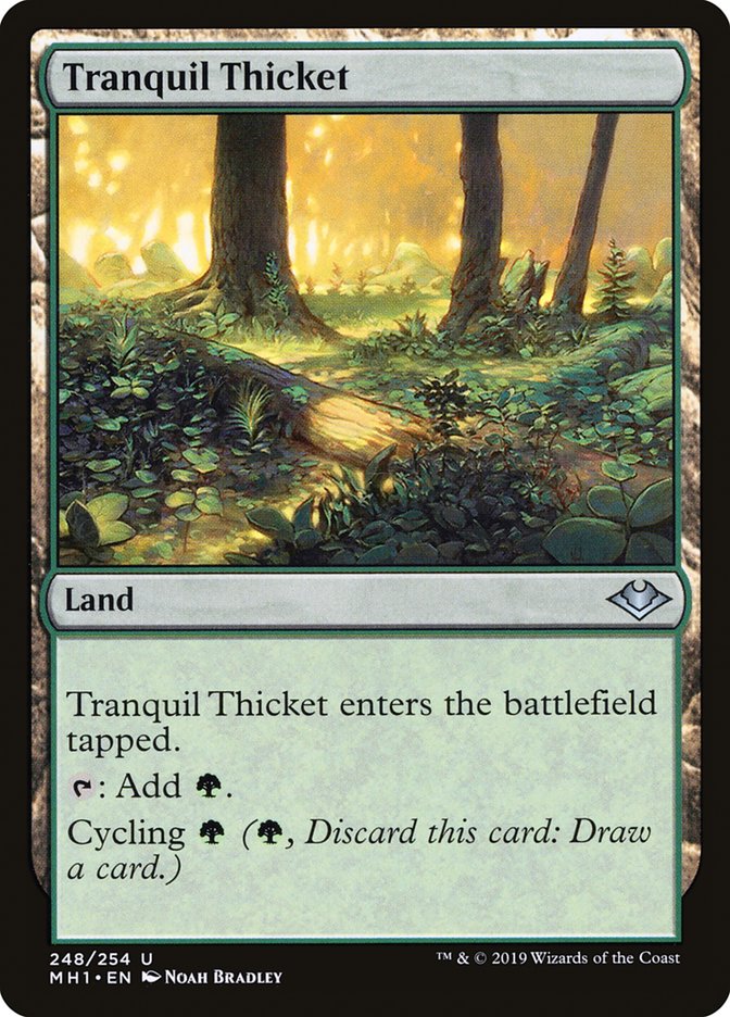 Tranquil Thicket [Modern Horizons] | Mindsight Gaming