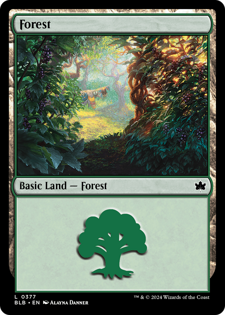 Forest (0377) [Bloomburrow] | Mindsight Gaming