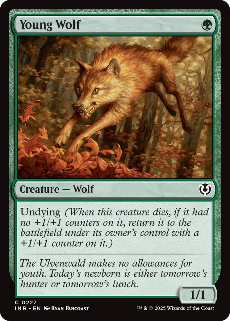 Young Wolf [Innistrad Remastered] | Mindsight Gaming