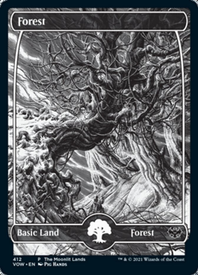 Forest (The Moonlit Lands) (Foil Etched) [Innistrad: Crimson Vow Promos] | Mindsight Gaming