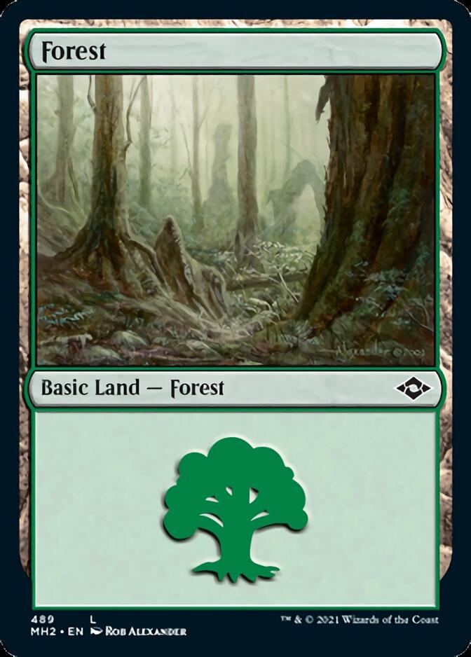 Forest (489) [Modern Horizons 2] | Mindsight Gaming