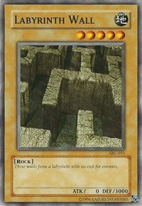 Labyrinth Wall [SRL-055] Common | Mindsight Gaming