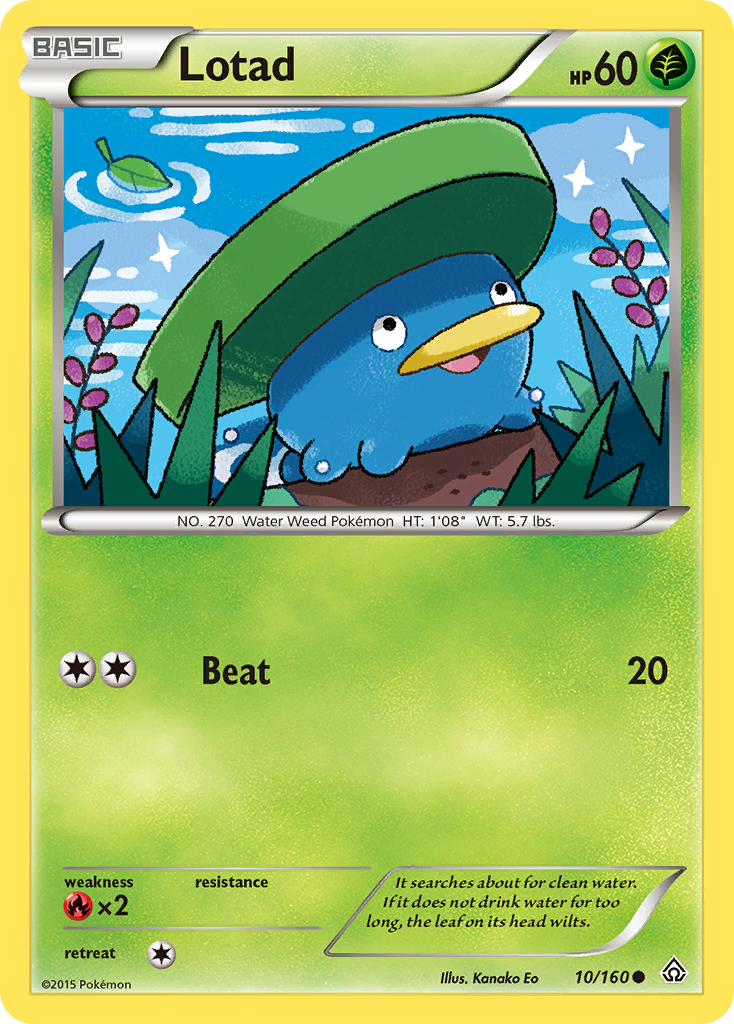 Lotad (10/160) [XY: Primal Clash] | Mindsight Gaming