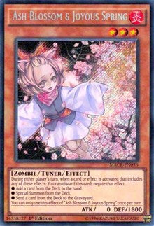 Ash Blossom & Joyous Spring [MACR-EN036] Secret Rare | Mindsight Gaming