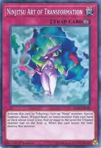 Ninjitsu Art of Transformation [SHVA-EN028] Super Rare | Mindsight Gaming