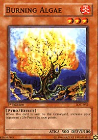 Burning Algae [IOC-062] Common | Mindsight Gaming