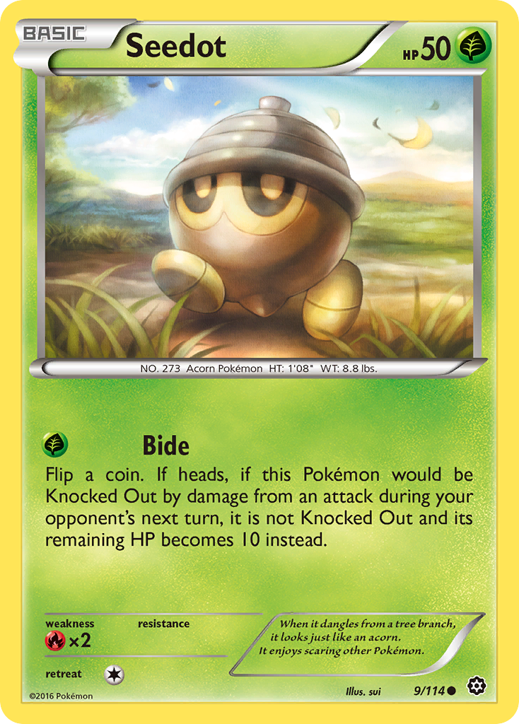 Seedot (9/114) [XY: Steam Siege] | Mindsight Gaming