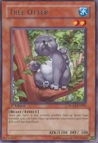 Tree Otter [RGBT-EN095] Rare | Mindsight Gaming