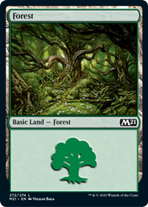 Forest [Core Set 2021] | Mindsight Gaming