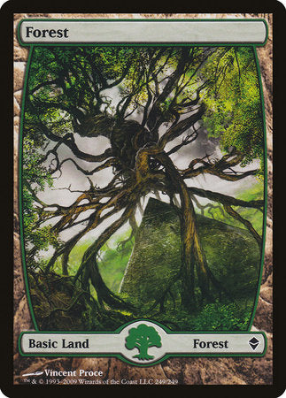 Forest (249) - Full Art [Zendikar] | Mindsight Gaming