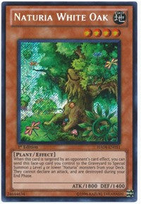 Naturia White Oak [HA04-EN051] Secret Rare | Mindsight Gaming