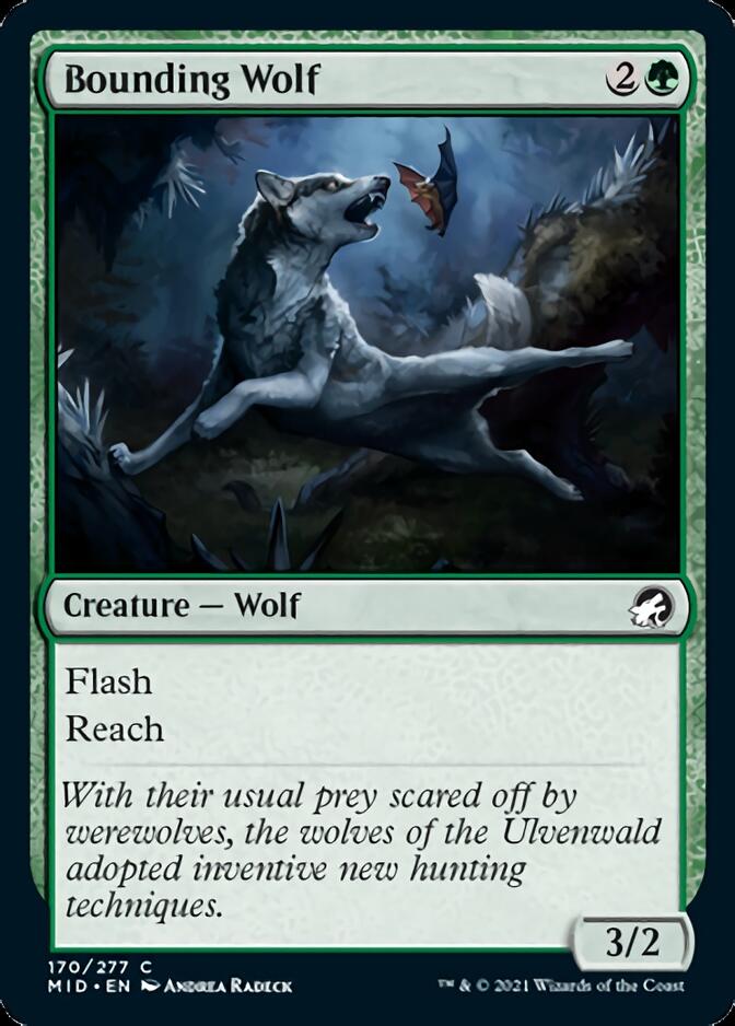 Bounding Wolf [Innistrad: Midnight Hunt] | Mindsight Gaming