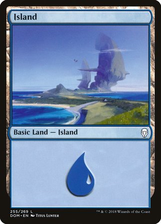 Island (255) [Dominaria] | Mindsight Gaming