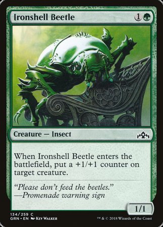 Ironshell Beetle [Guilds of Ravnica] | Mindsight Gaming