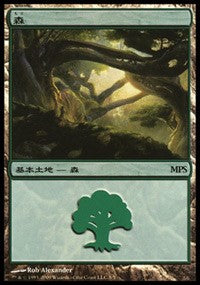 Forest - Zendikar Cycle [Magic Premiere Shop] | Mindsight Gaming