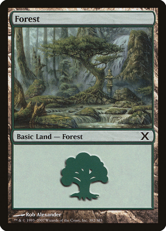 Forest (382) [Tenth Edition] | Mindsight Gaming