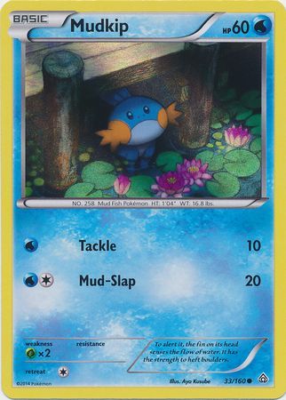 Mudkip (33/160) (Sheen Holo) [XY: Primal Clash] | Mindsight Gaming