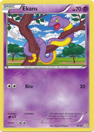 Ekans (16/30) [XY: Trainer Kit - Noivern] | Mindsight Gaming