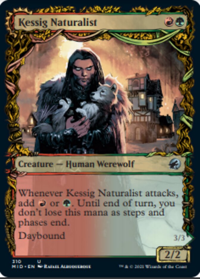 Kessig Naturalist // Lord of the Ulvenwald (Showcase Equinox) [Innistrad: Midnight Hunt] | Mindsight Gaming