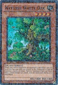 Naturia White Oak [DT04-EN081] Super Rare | Mindsight Gaming