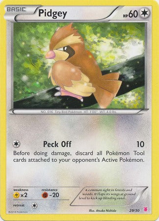 Pidgey (29/30) [XY: Trainer Kit 1 - Wigglytuff] | Mindsight Gaming