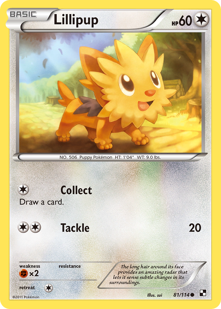 Lillipup (81/114) [Black & White: Base Set] | Mindsight Gaming