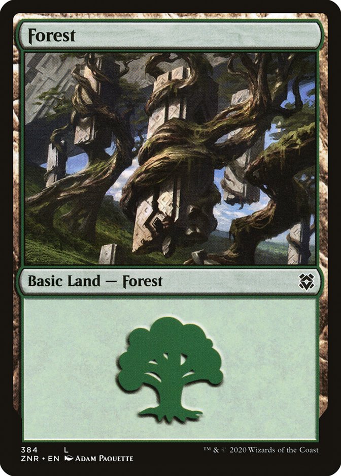 Forest (384) [Zendikar Rising] | Mindsight Gaming