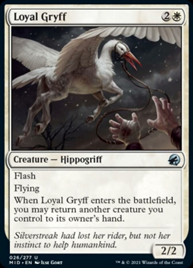 Loyal Gryff [Innistrad: Midnight Hunt] | Mindsight Gaming