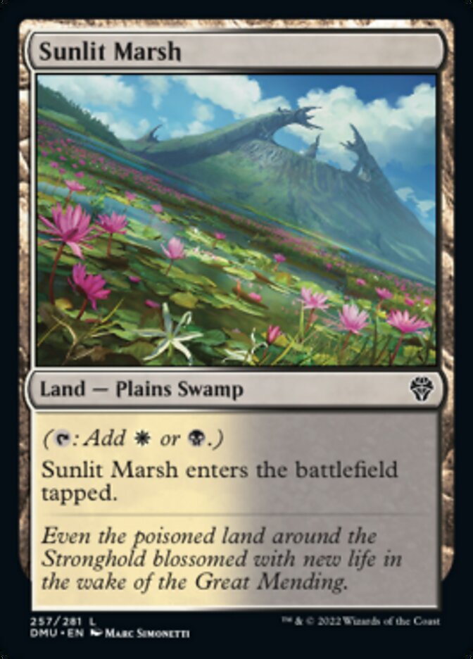 Sunlit Marsh [Dominaria United] | Mindsight Gaming