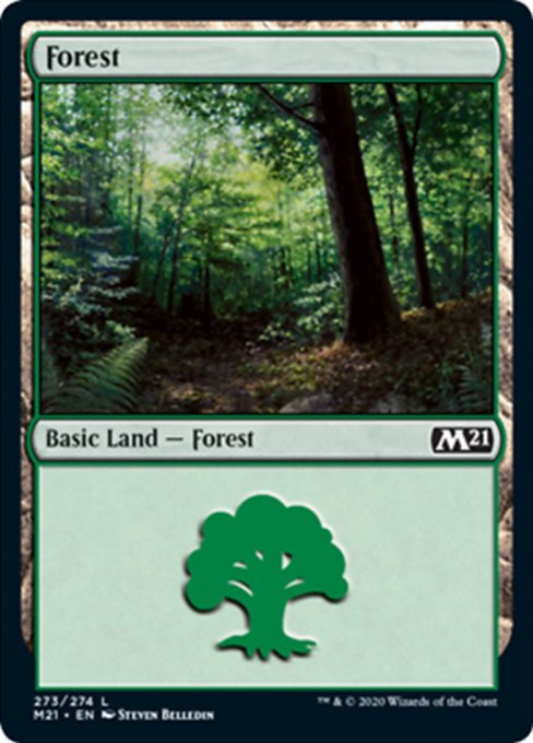 Forest (273) [Core Set 2021] | Mindsight Gaming