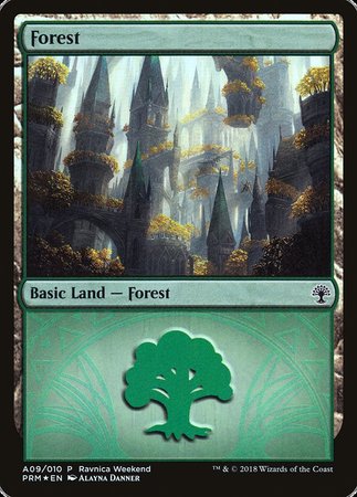 Forest - Selesnya (A09) [GRN Ravnica Weekend] | Mindsight Gaming