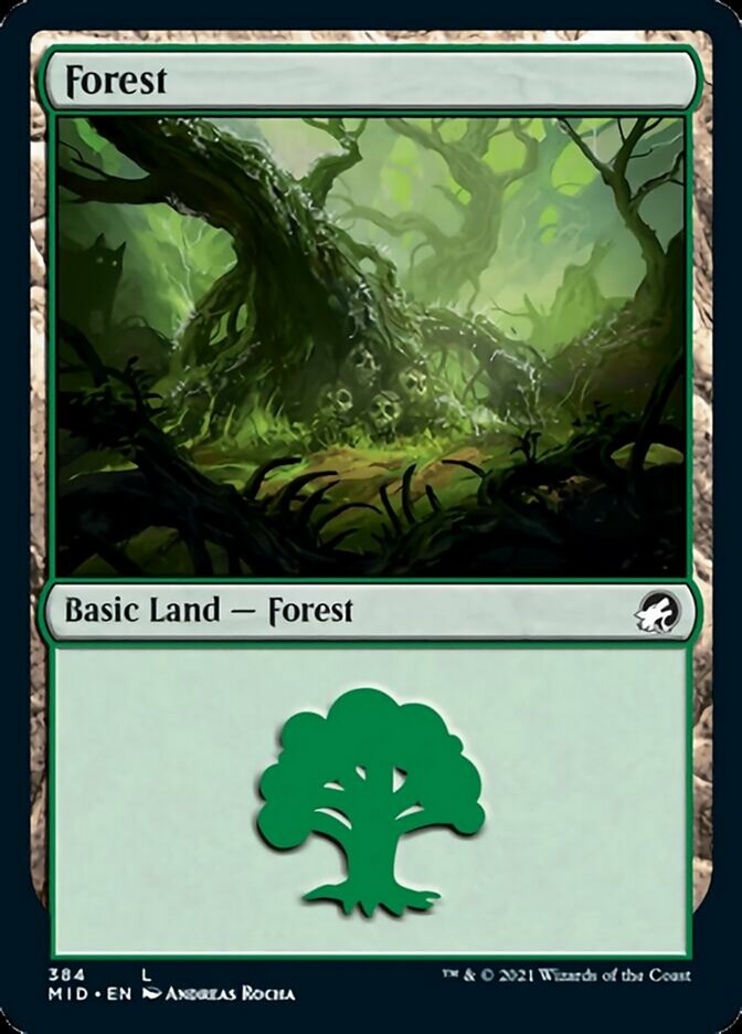 Forest (384) [Innistrad: Midnight Hunt] | Mindsight Gaming