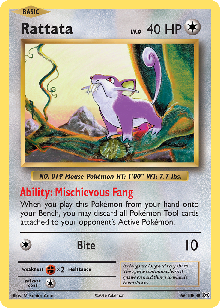 Rattata (66/108) [XY: Evolutions] | Mindsight Gaming