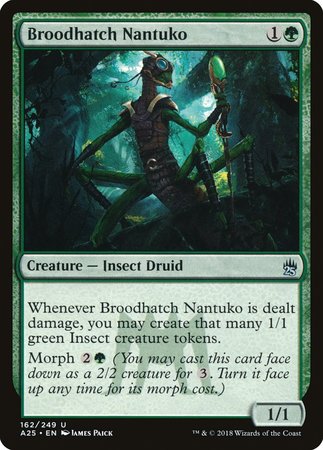 Broodhatch Nantuko [Masters 25] | Mindsight Gaming