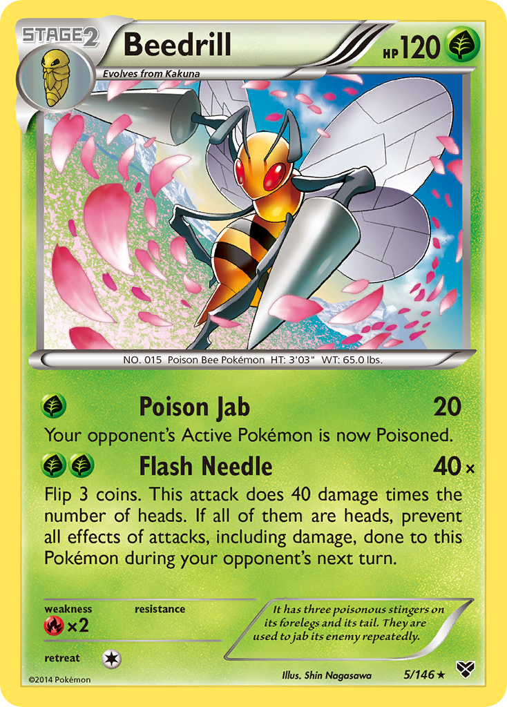 Beedrill (5/146) [XY: Base Set] | Mindsight Gaming