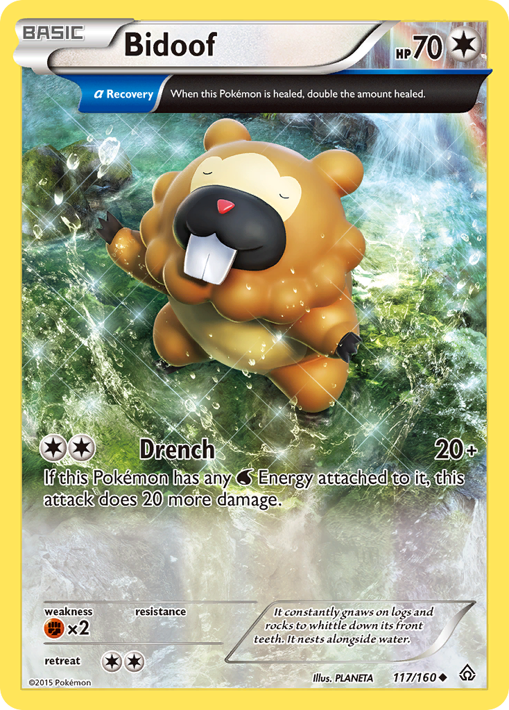 Bidoof (117/160) [XY: Primal Clash] | Mindsight Gaming