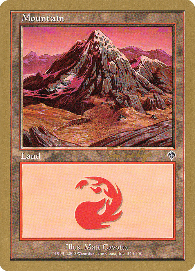 Mountain (tvdl343) (Tom van de Logt) [World Championship Decks 2001] | Mindsight Gaming