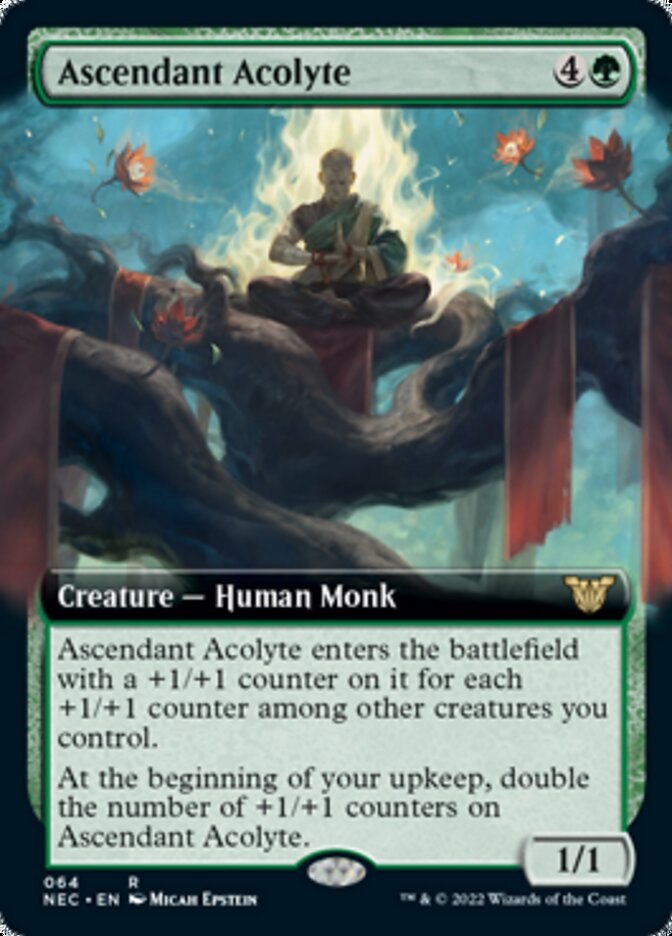 Ascendant Acolyte (Extended) [Kamigawa: Neon Dynasty Commander] | Mindsight Gaming