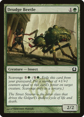 Drudge Beetle [Return to Ravnica] | Mindsight Gaming