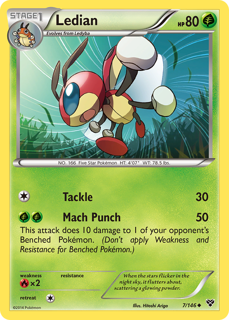 Ledian (7/146) [XY: Base Set] | Mindsight Gaming