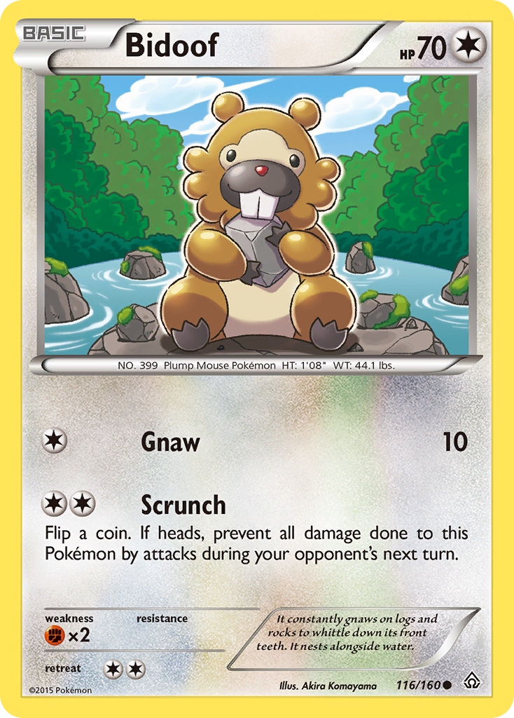 Bidoof (116/160) [XY: Primal Clash] | Mindsight Gaming