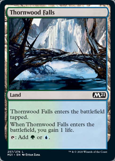 Thornwood Falls [Core Set 2021] | Mindsight Gaming