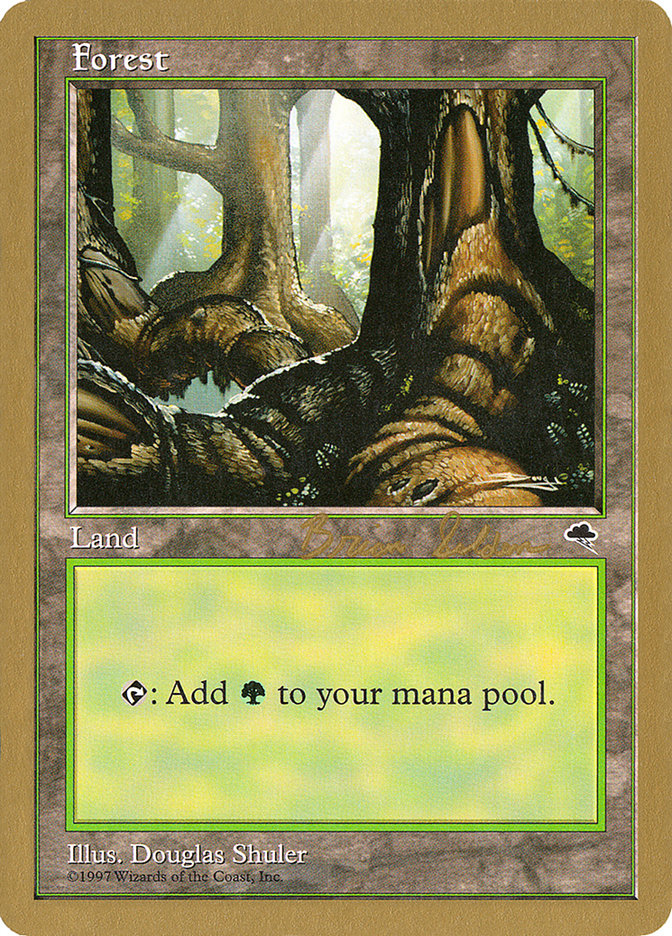 Forest (bs348) (Brian Selden) [World Championship Decks 1998] | Mindsight Gaming